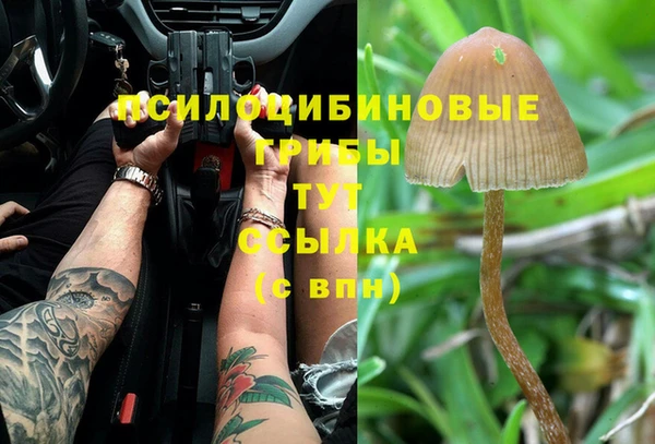 СК Вяземский