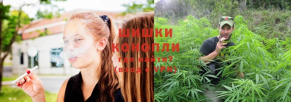 бошки Тутаев